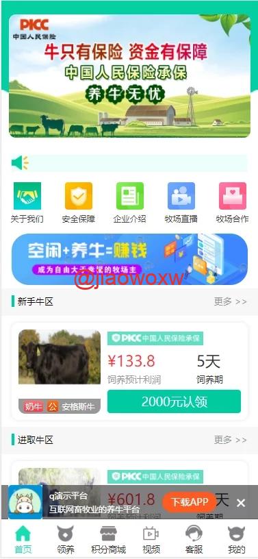 【会员免费】养牛农场/理财源码/支付已接/带完整教程 - LwCode-LwCode